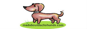 Mad About Dachshunds